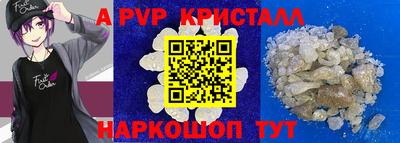 шишки Тара