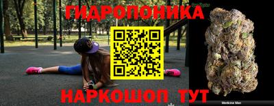 шишки Тара