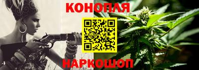 шишки Тара