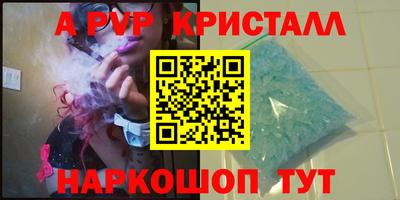 шишки Тара
