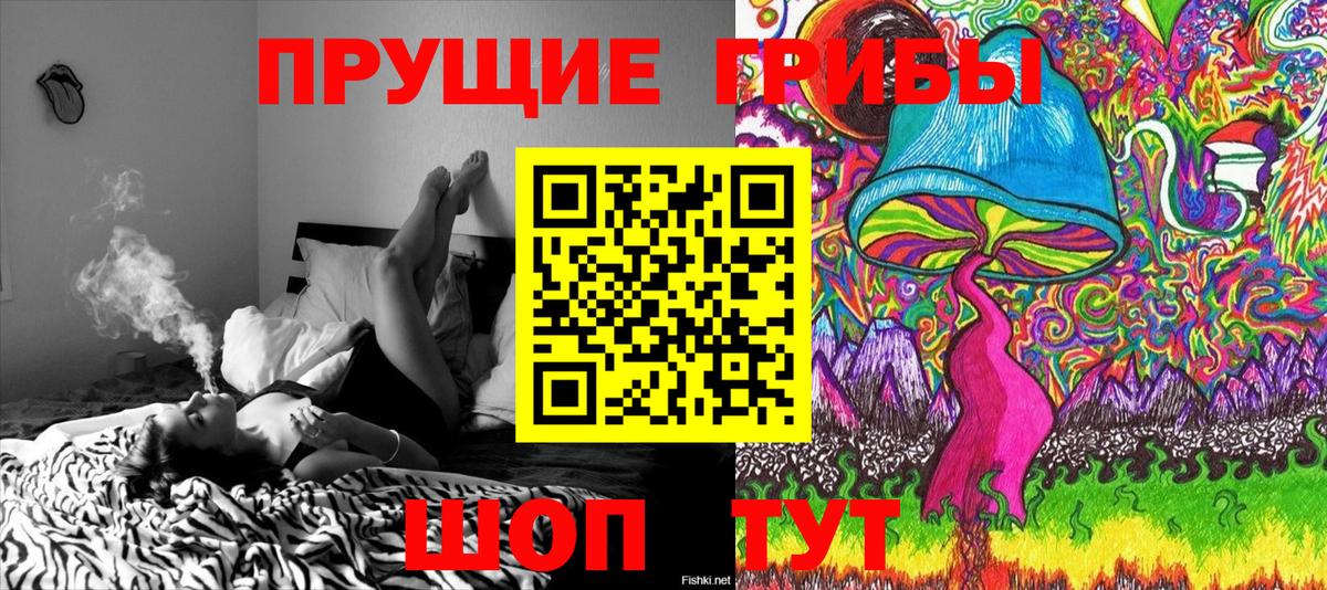 Новошахтинск  Галлюциногенные грибы GOLDEN TEACHER  Вход с VPN 